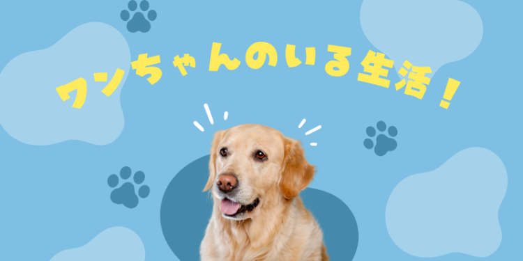 ワンちゃんのいる生活！